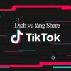 Share Tiktok